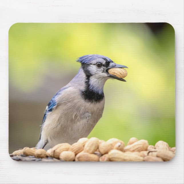 Mousepad Jay azul com amendoim (Frente)
