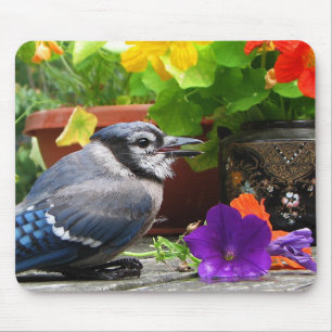 Mousepad Jay azul e flores