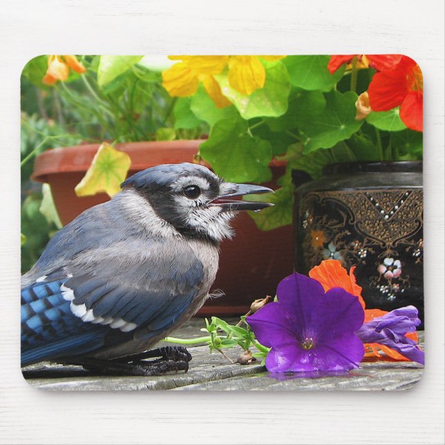 Mousepad Jay azul e flores (Frente)