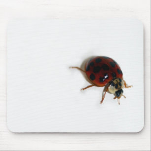 Mousepad Joaninha