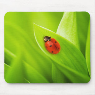 Mousepad Joaninha