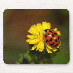 Mousepad Joaninha