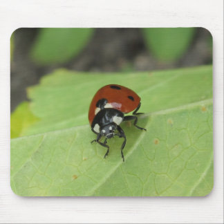 Mousepad Joaninha amigável