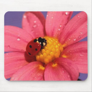 Mousepad Joaninha em uma margarida cor-de-rosa