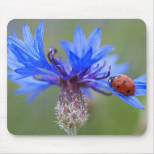 Mousepad Joaninha Flores Azuis Arte Destino Paz Amor Vinha