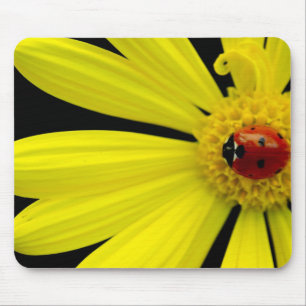 Mousepad Joaninha na margarida amarela
