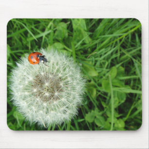 Mousepad Joaninha no dente-de-leão