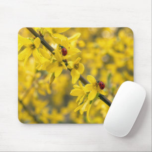 Mousepad Joaninhas no Ramo Amarelo de Forsítia