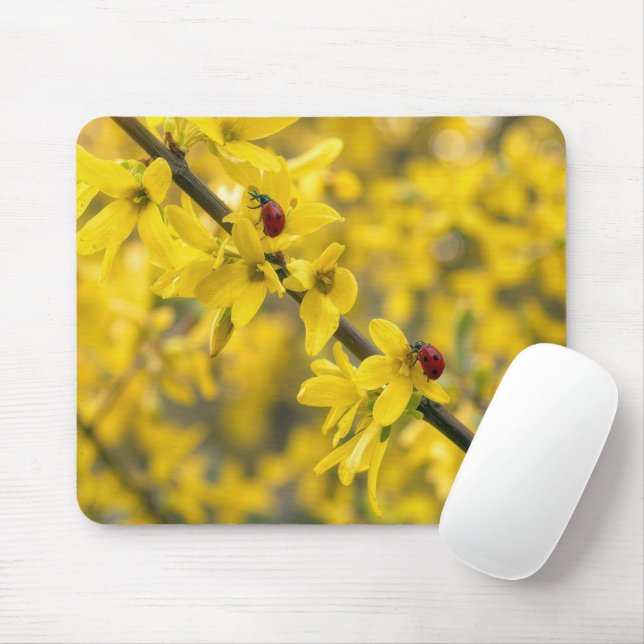 Mousepad Joaninhas no Ramo Amarelo de Forsítia (Com mouse)