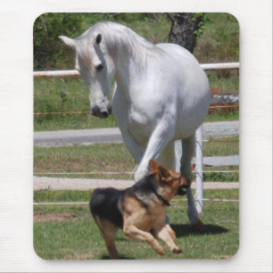 MOUSEPAD JOGO DO CAVALO & DO CÃO