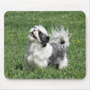 Mousepad jogo do tzu de shih