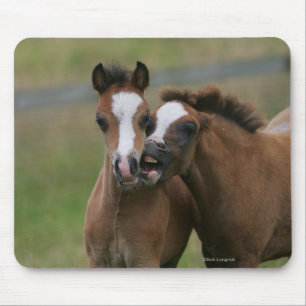 Mousepad Jogo dos potros