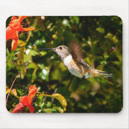 Mousepad Jóia do Jardim: Beija-flor em Flor