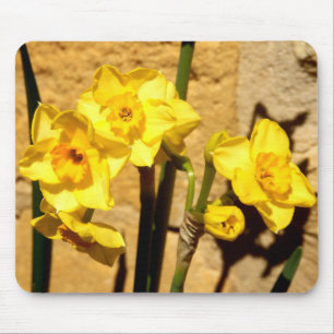 Mousepad Jonquil floresce a esteira do rato