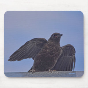 Mousepad Jovem Black Raven na Ponte do Quesnel w Sky