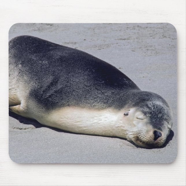 Mousepad Jovem foca dormindo na praia - Austrália (Frente)