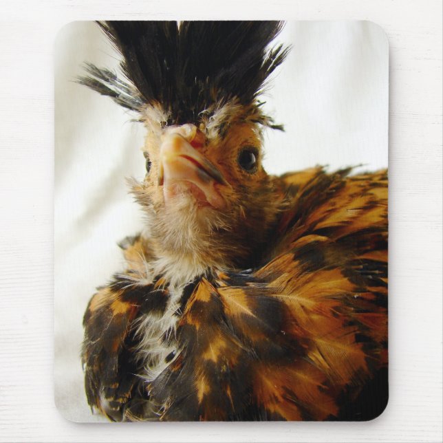 Mousepad Jovem polonês (Frente)