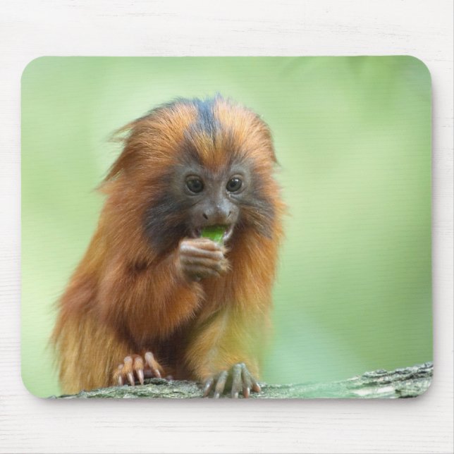 Mousepad Jovem principal dourado (Frente)