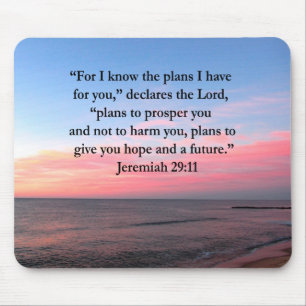MOUSEPAD JOYFUL JEREMIAH 29:11 SOL