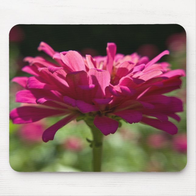 Mousepad Joyful Zinnia (Frente)