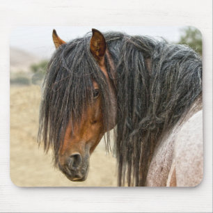Mousepad Juba do cavalo