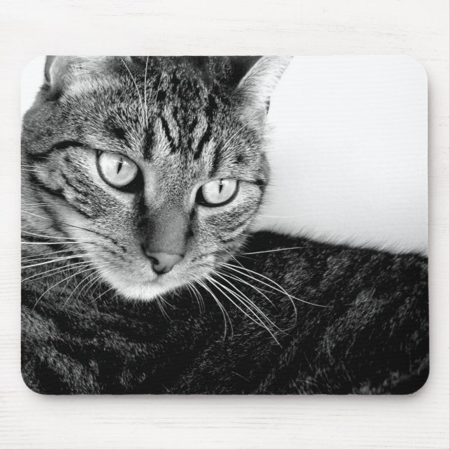 Mousepad Jude (Frente)