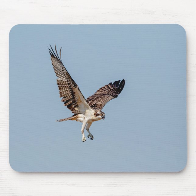 Mousepad Juvenil Osprey em voo (Frente)