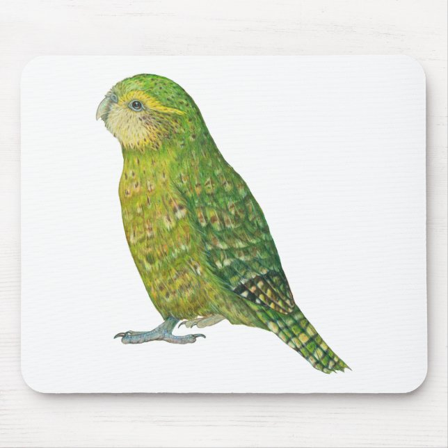 Mousepad Kakapo fêmea novo (Frente)