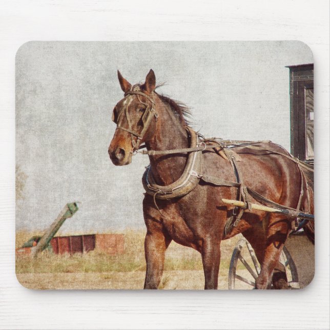 Mousepad Kalona, Iowa Amish Horse e Buggy (Frente)