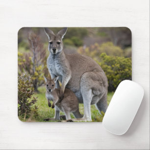 Mousepad Kangaroo e Joey