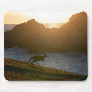 Mousepad Kangaroo joey apreciando o pôr do sol na praia