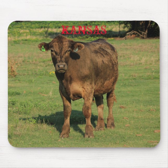 Mousepad Kansas Country Cow (Frente)