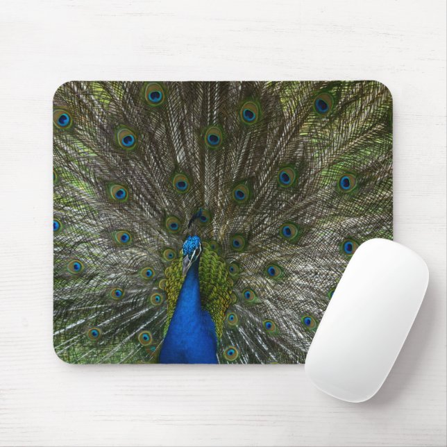 Mousepad Kauai Peacock (Com mouse)