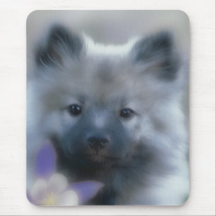 Mousepad Keeshond e Columbine - Fotografia de Cães