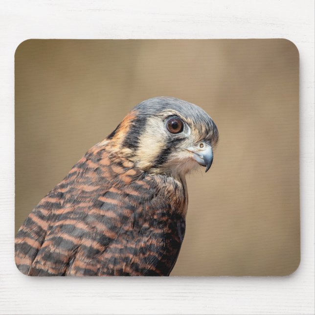 Mousepad Kestrel Americano (Frente)
