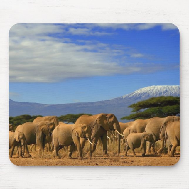 Mousepad Kilimanjaro e elefantes (Frente)