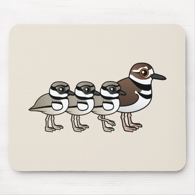 Mousepad Killdeer & três pintinhos (Frente)