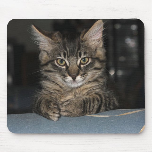 Mousepad Kimber Gatinho "Sério?" Mouspad (Frente)