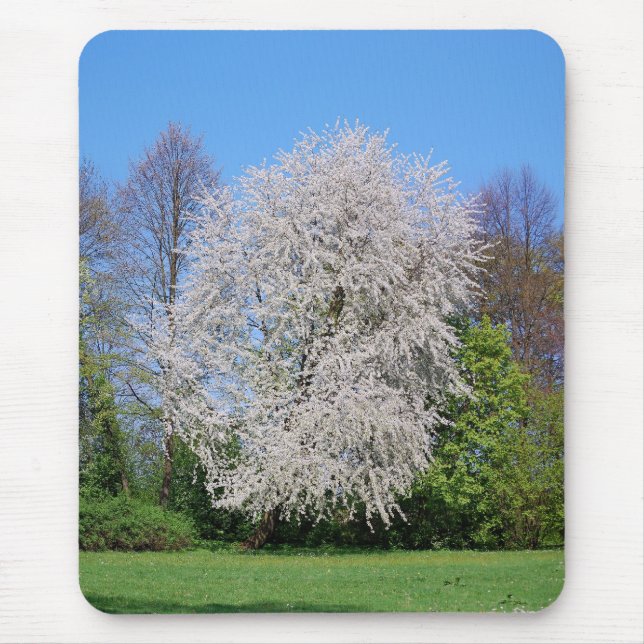 Mousepad Kirschbaum (Frente)