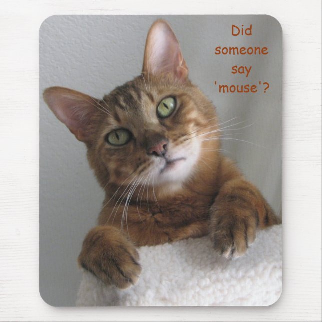 Mousepad Kishka - rato? (Frente)