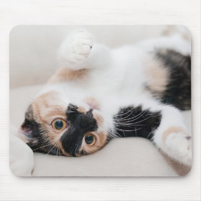 Mousepad Kitten (Frente)