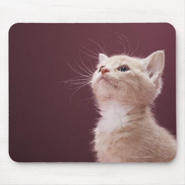 Mousepad Kitten com Whiskers (Frente)