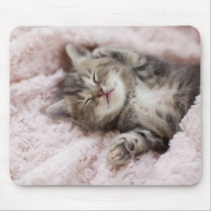 Mousepad Kitten dormindo na toalha