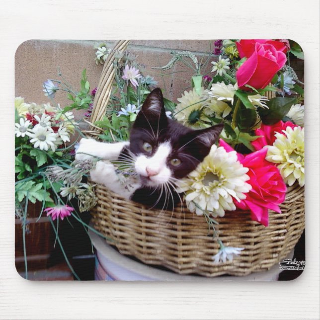 Mousepad Kitten em uma cesta (Frente)