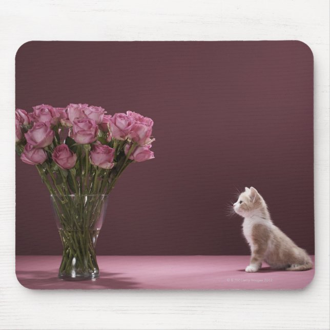 Mousepad Kitten olhando vaso de rosas (Frente)