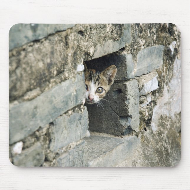 Mousepad Kitten Peeking out of Wall, Yangshuo, Guangxi (Frente)