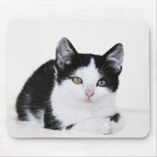 Mousepad Kitten Preto e Branco