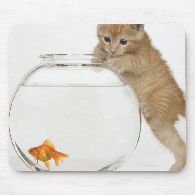 Mousepad Kitten tentando pegar um peixe dourado (Frente)