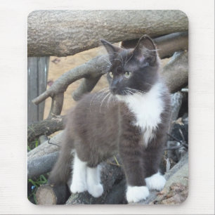 Mousepad Kitten Tuxedo