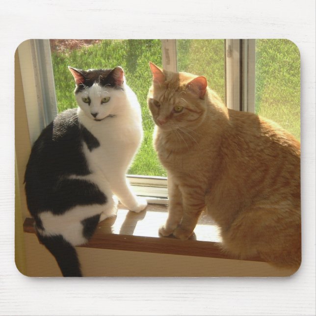 Mousepad Kitty Cat Love (Frente)